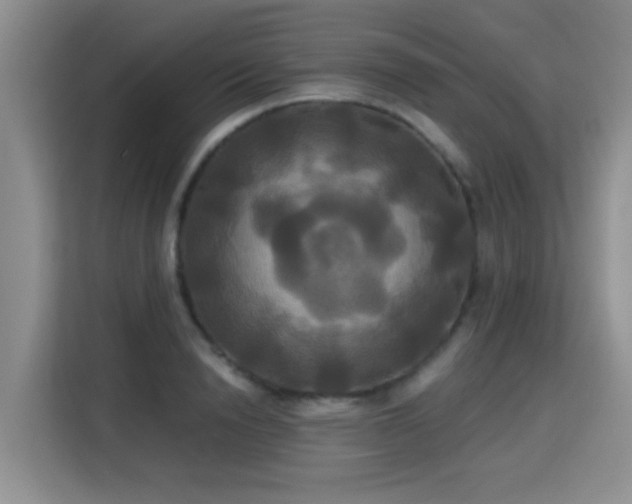 X0000115330846200911091243