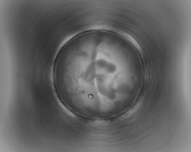 X0000115330847200911091243