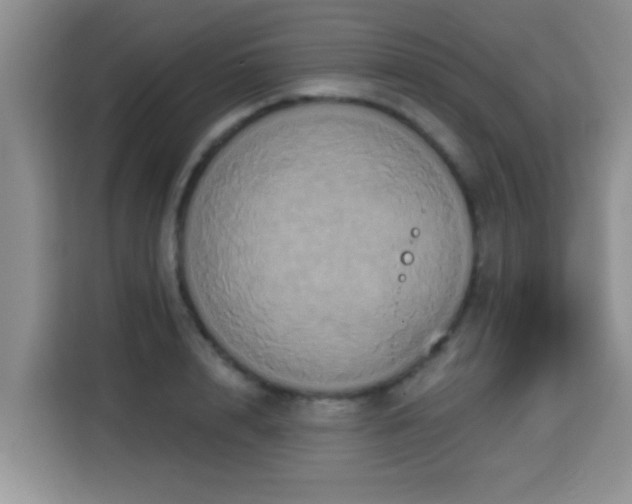 X0000115330848200911091243