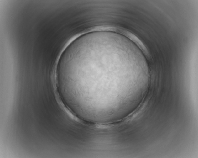 X0000115330852200911091243