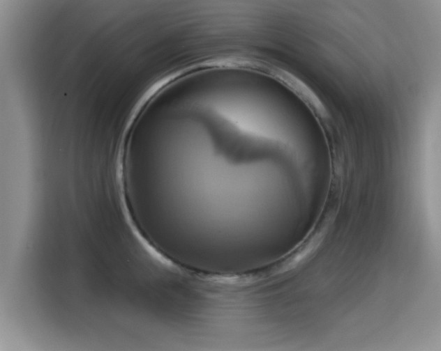 X0000115330855200911091243