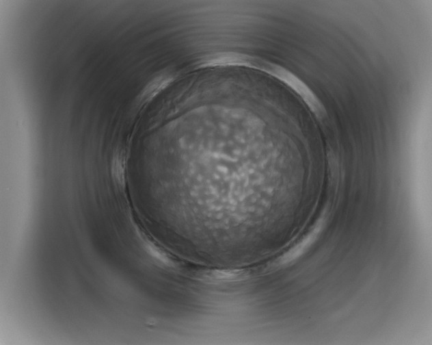 X0000115330857200911091243