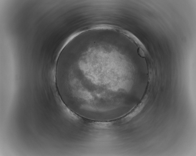 X0000115330860200911091244