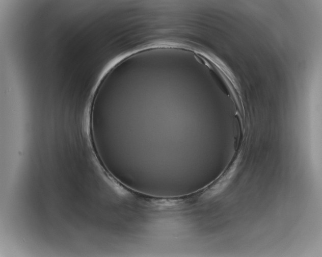 X0000115330862200911091244