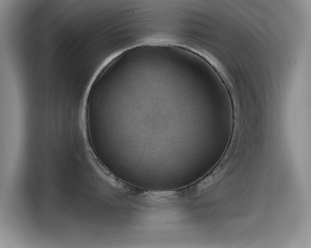 X0000115330864200911091244