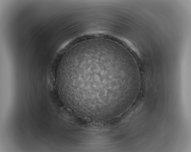 X0000115330871200911091243