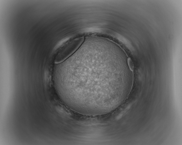 X0000115330872200911091243