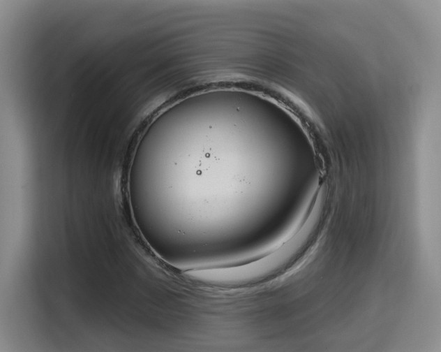 X0000115330873200911091243