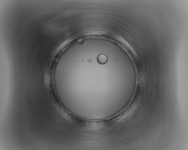 X0000115330874200911091243