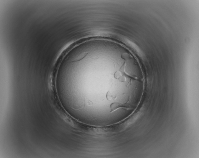 X0000115330875200911091243