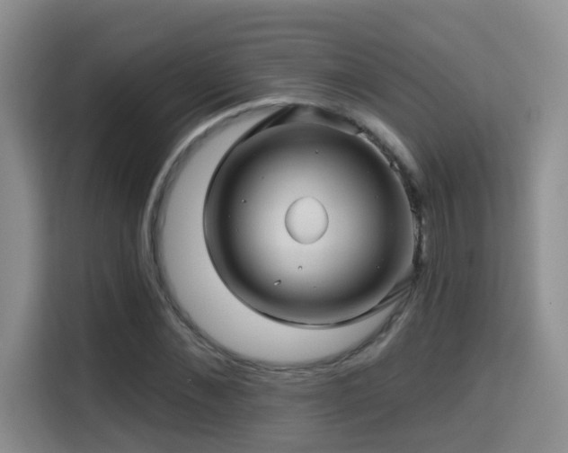 X0000115330876200911091243