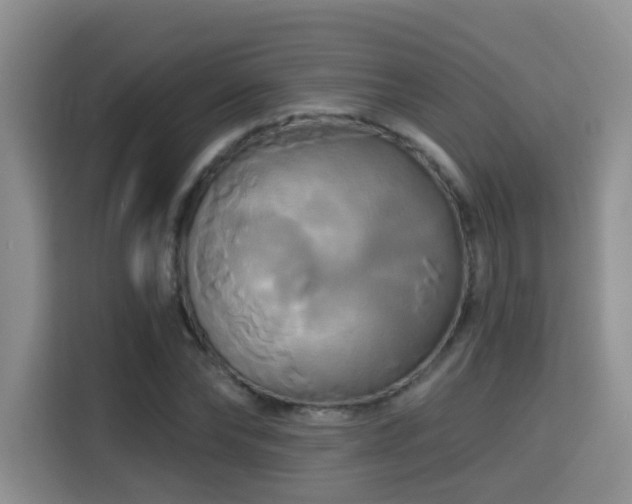 X0000115330878200911091243