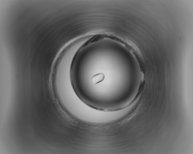 X0000115330880200911091243