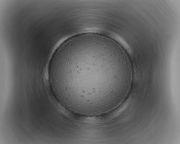 X0000115330883200911091243