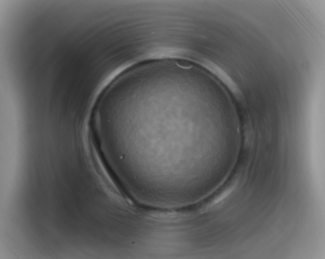 X0000115330885200911091243