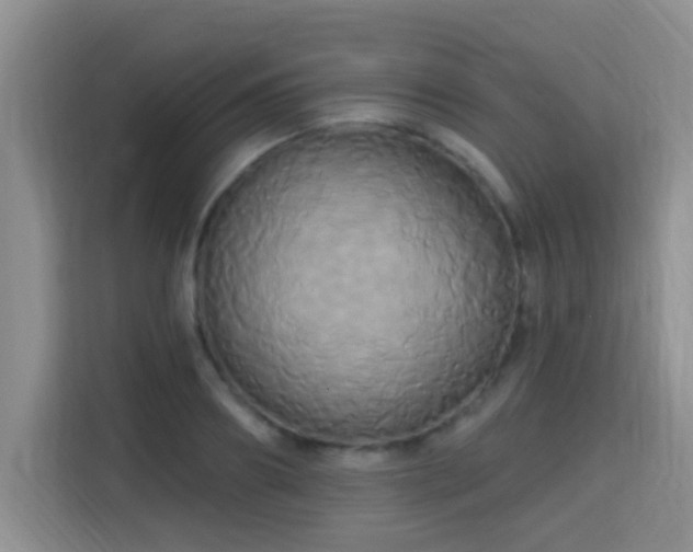 X0000115330890200911091243