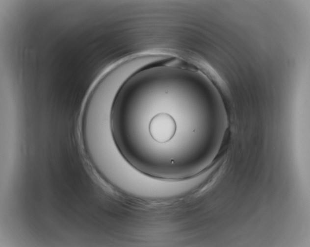 X0000115330892200911091243