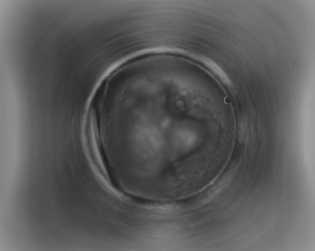 X0000115330895200911091243
