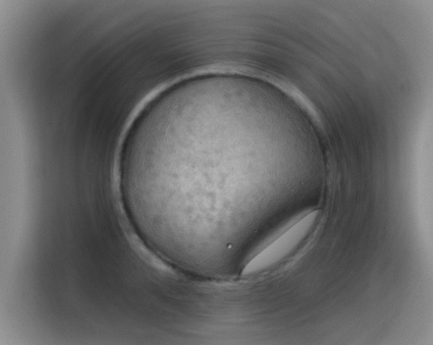 X0000115330896200911091243