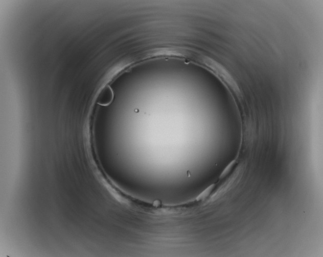 X0000115330898200911091243