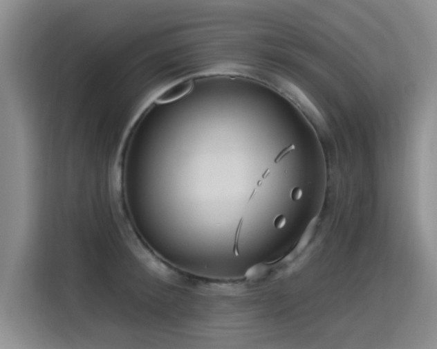 X0000115330900200911091242