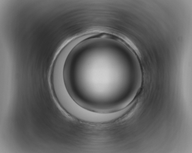 X0000115330901200911091242