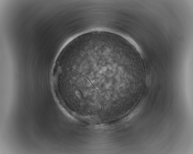 X0000115330903200911091242