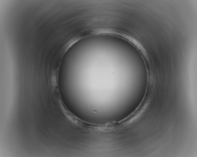 X0000115330905200911091242