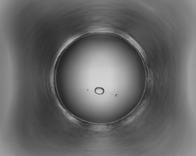 X0000115330909200911091242