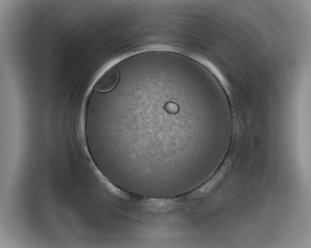 X0000115330910200911091242