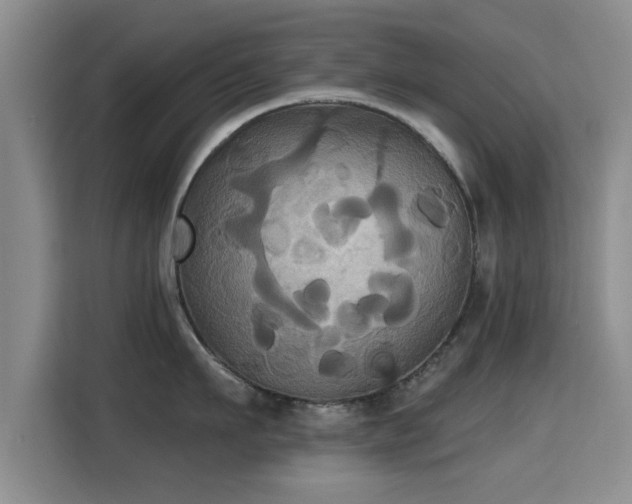 X0000115330911200911091242