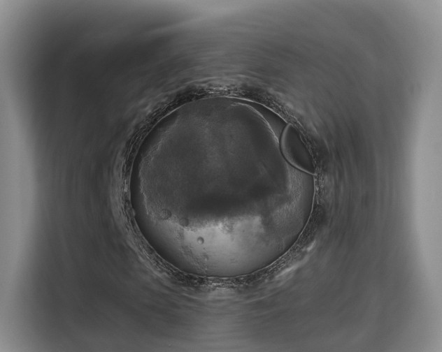 X0000115330913200911091242