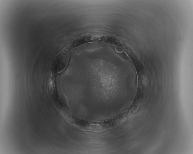 X0000115330914200911091242