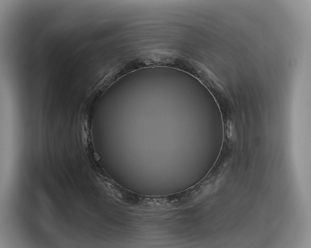 X0000115330915200911091242