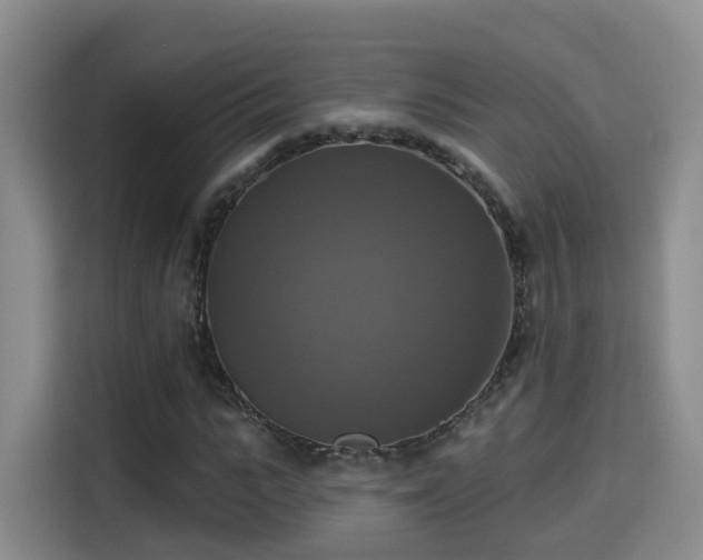 X0000115330919200911091242