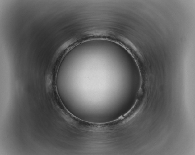 X0000115330922200911091242
