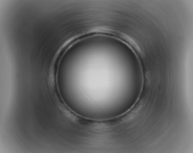 X0000115330931200911091242