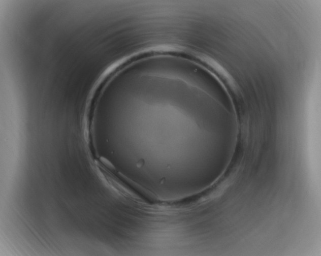X0000115330935200911091242