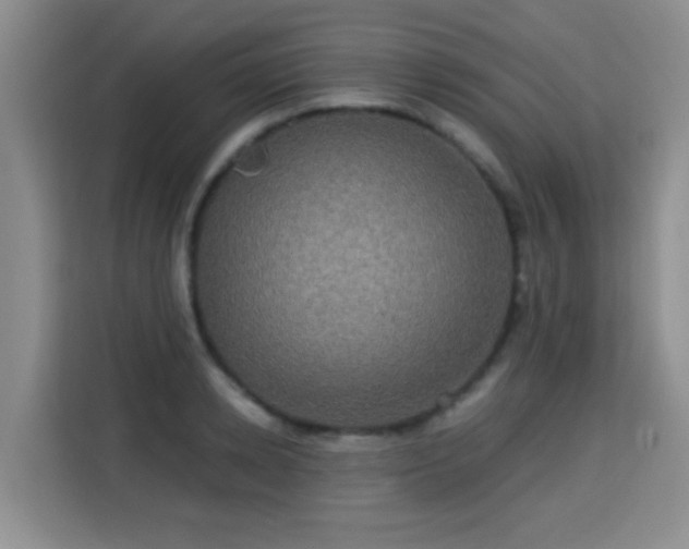 X0000115330942200911091242