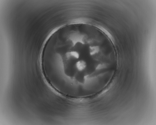 X0000115330949200911091242