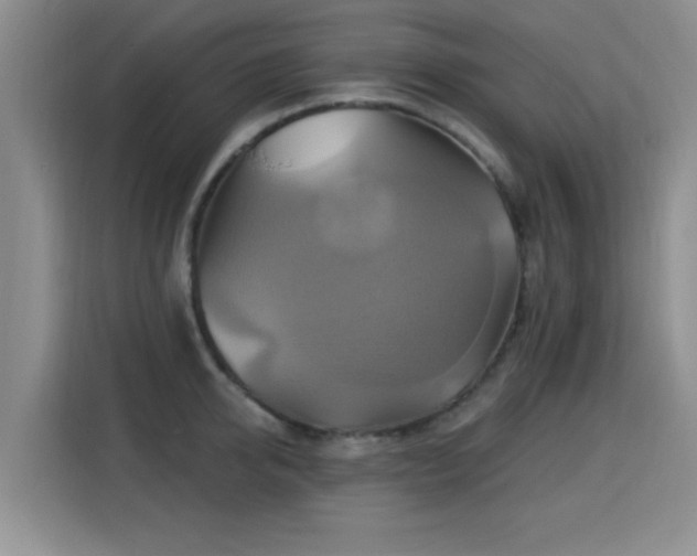 X0000115330950200911091242