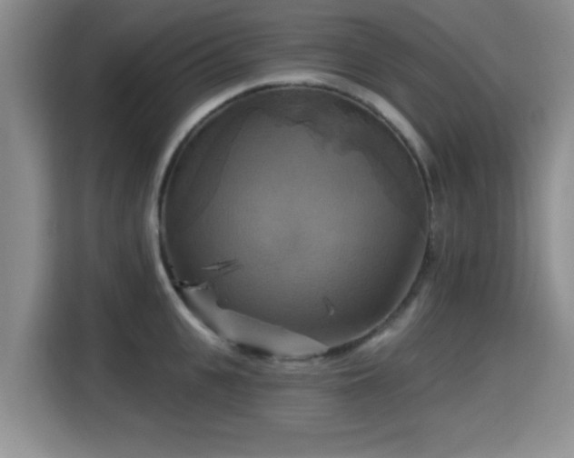 X0000115330951200911091242