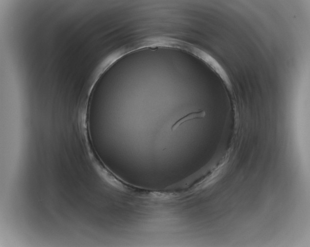 X0000115330954200911091242
