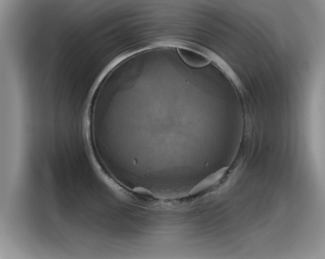 X0000115330955200911091242