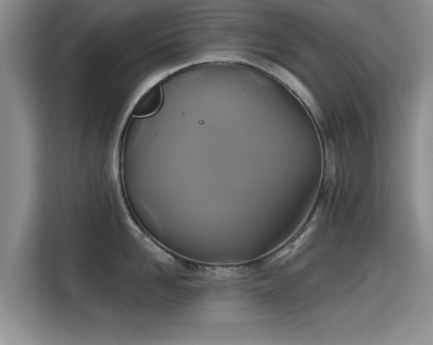 X0000115330958200911091242