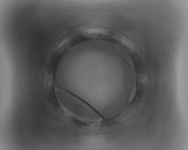 X0000115330965200911091242