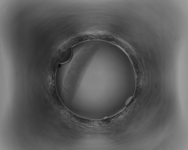 X0000115330966200911091242