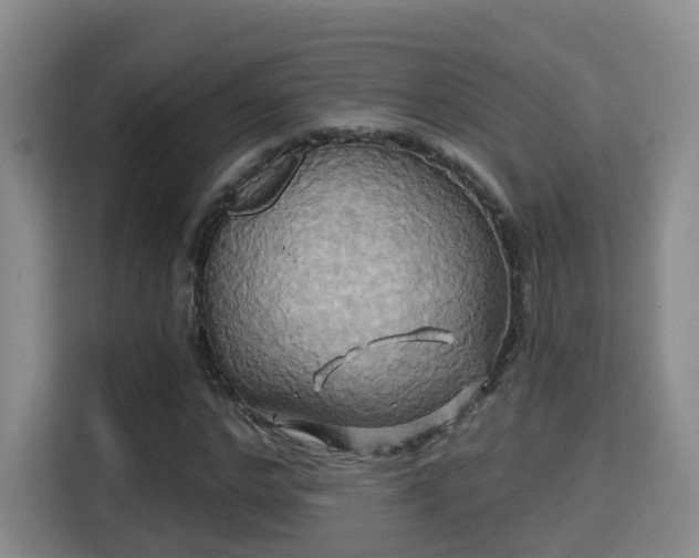 X0000115330968200911091242