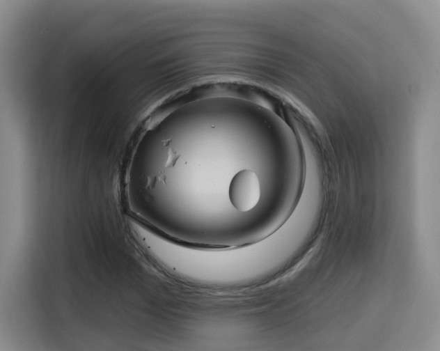 X0000115330969200911091242