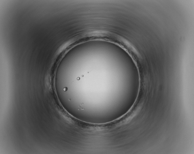 X0000115330970200911091242